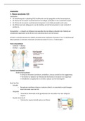 Samenvatting anatomie en fysiologie periode 1.2