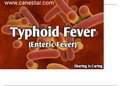 Typhoid-Fever-Enteric-Fever-Presentation-2.pdf