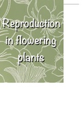 Reproduction in flowering plants Gr 11 & Gr 12 IEB & DBE bio notes 