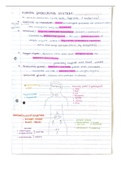 Biology: Human endocrine system chapter Grade 12 ieb notes 