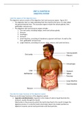 In depth summary of the Human Body's Digestive System (images included)