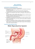 In depth summary of the Human Body's Female and Male Reproductive System (images included)