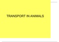 PowerPoint on Transport in Animals