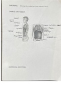 General anatomy homework