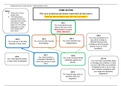 BPTC/BTC Civil & Criminal Litigation & Professional Ethics - Flow Chart & Notes