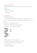 Grade 12 IEB Life science/biology strand 3: (3.1) DNA - Code of life summary