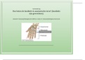 Oefentoets 120 vragen Anatomie H07 FLASHCARDS Decentrale Selectie Utrecht Anatomie H7, Hoogwaardige Flashcard