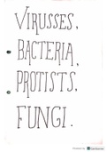 Microorganisms (Viruses, Bacteria, Protists and Fungi) Notes