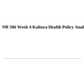 NR 506 Week 4 Kaltura Health Care Policy Analysis.