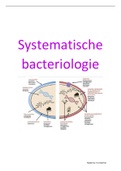 Systematische Bacteriologie minor Medische Microbiologie
