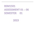BSM1501 Assessment 01 - 06