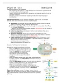 Complete summary of Cell Biology Year 1 chapter 16.17.18 and 2o