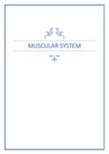  BIOLOGY MISC 3 Muscular System Complete Study Guide_ Guaranteed Success.