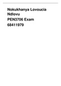 Exam (elaborations) Pen3706 (Pen3706)