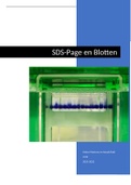Labo verslag biochemie: SDS-Page en Blotten