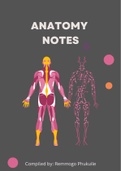 Colorful anatomy notes that include clear and entertaining diagrams.