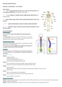 Pearsons BTEC Sport (D* Revision) - Unit 1 Anatomy and Physiology