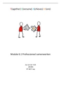 Module 6.1 professioneel samenwerken