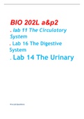 BIO 202L a&p2 lab 11 The Circulatory System, Lab 16 The Digestive System, Lab 14 The Urinary