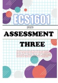 ECS1601 Assessment 3 Attempt 2 Plus Explanations 