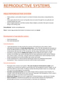 Animal physiology 214 notes on the male reproductive system 