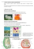 Sammenvatting bio: Cellen, organische en anorganische organismen
