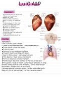 Cardiovascular system - Anatomy & Physiology