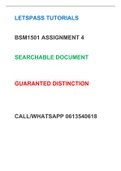 BSM1501 ASSIGNMENT 4_ SEMESTER 1 2023.pdf