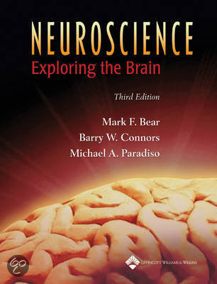 Test Bank Neuroscience Exploring the Brain  4th Edition by Bear 