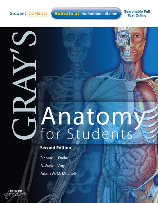 Test Bank For Gray's Anatomy for Students, 3rd Edition by drake