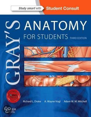 Detailed Anatomy of the Nose and Paranasal Sinuses 