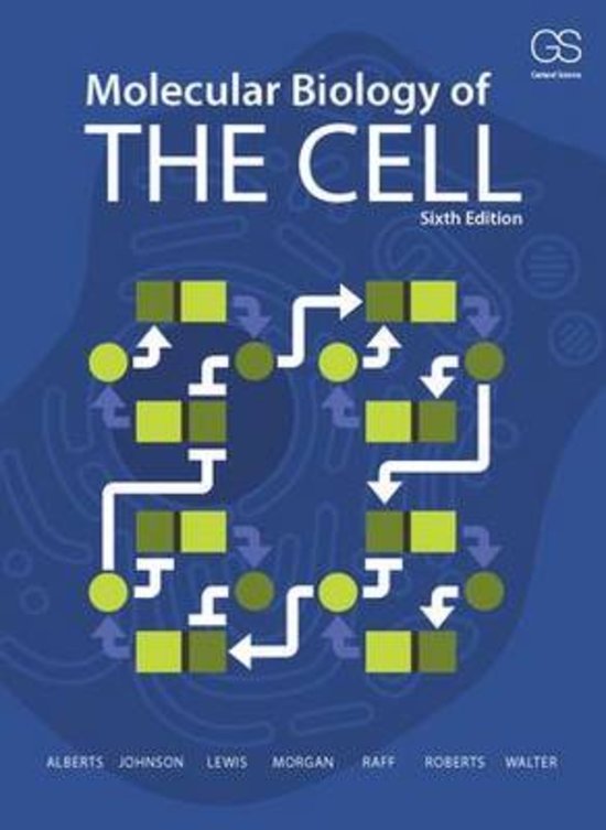 Samenvatting Molecular Biology of the Cell (Alberts) volgens blokboek Biomoleculen (B1BI)