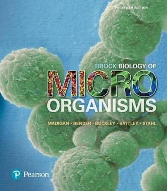 Test Bank for Brock Biology of Microorganisms 15th Edition by Madigan |  Chapters 1 - 33 Complete Guide